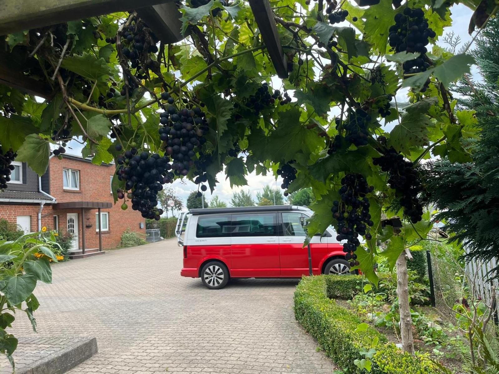 Apartment Neumuhler Hof: Spacious Family With Multiple Bathrooms And Free Parking Schwerin (Mecklenburg-Vorpommern)